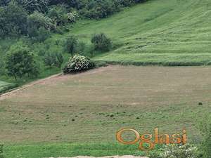 CORTANOVCI PLAC 2068M JERTENISTE/KO-975